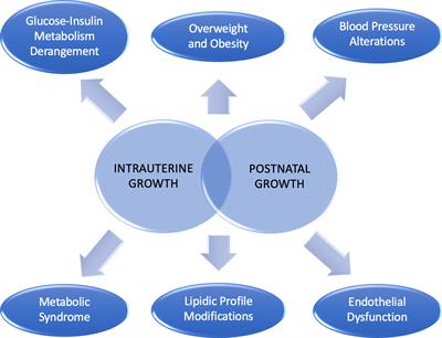 Birth size, growth trajectory and later cardio-metabolic risk